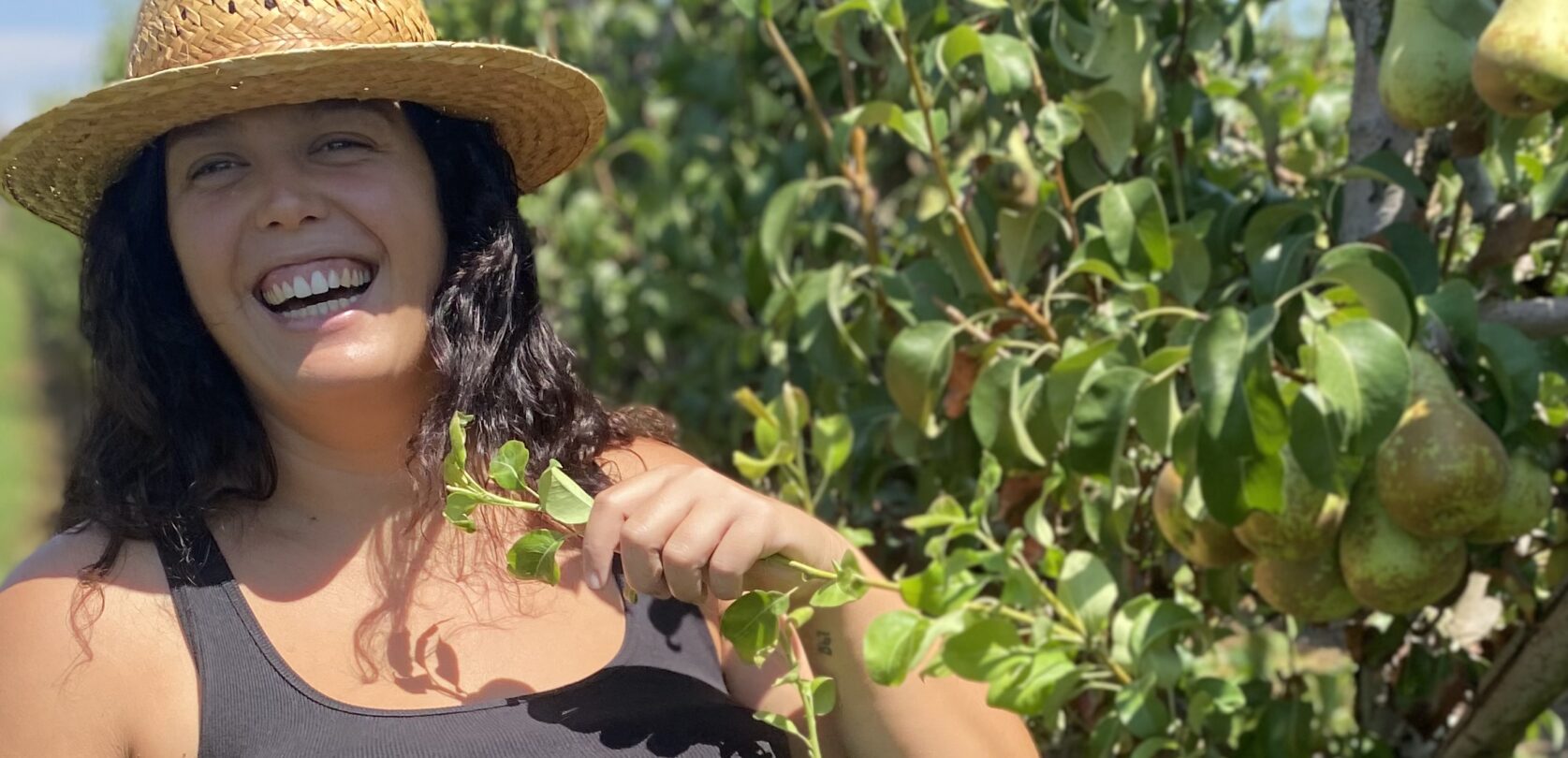 Portfolio Featured Image