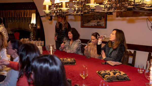 Ap!Lleida - Sopar Nadal Castell de Raymat 2022