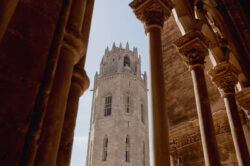 PREMIS_APLLEIDA_45